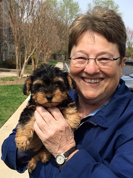 Kacy was Pickles from Ruby and JoJo's litter of Yorki-Poos.   Joanne is from Rehoboth, De.